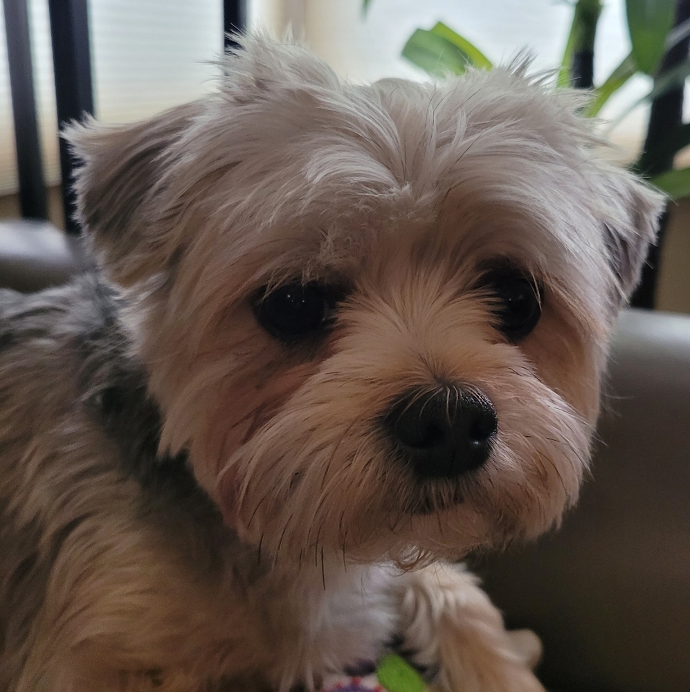 Meet your Posher, Sandra